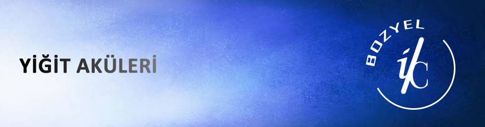 Adana Yiğit Akü Yetkili Servis Satış Yeri Fiyatları Ebatları 2 El